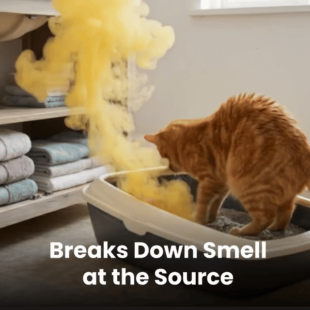 Animated OzoFreshen pet odor demonstration