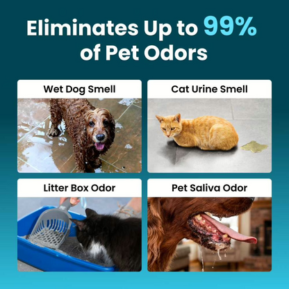 Original supplier illustration of common pet odor sources