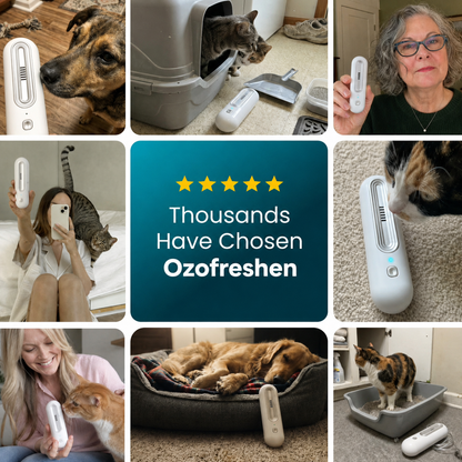 Original supplier customer photo collage