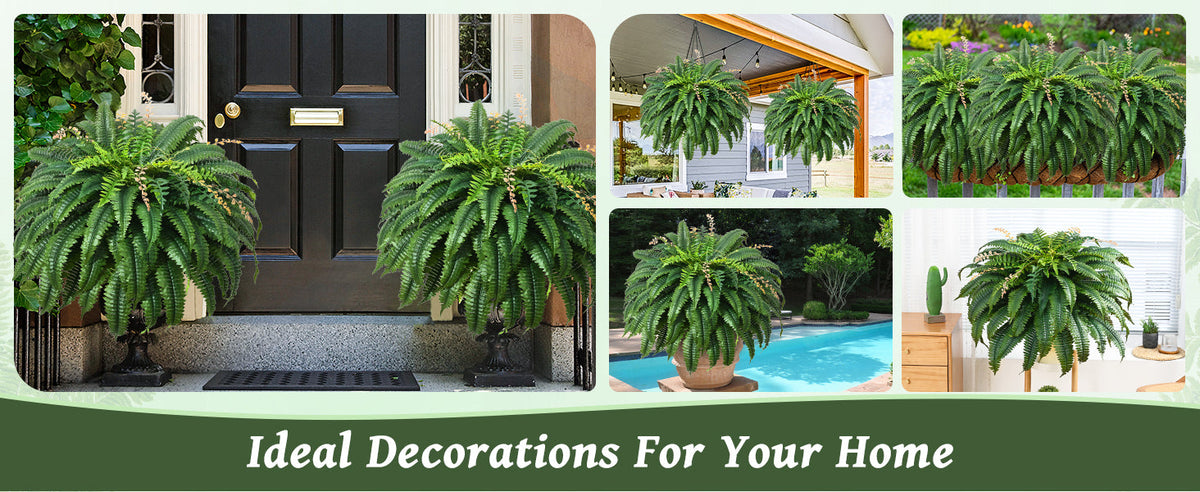 Large artificial Boston fern display dimensions