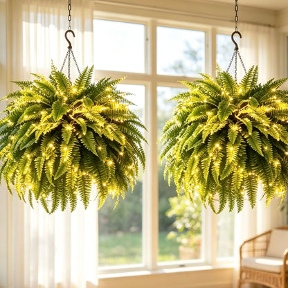 Large Boston fern alternate product view