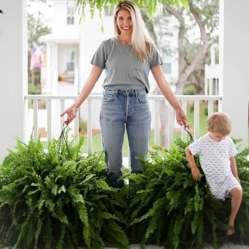 Boston fern used in porch decor
