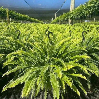Large artificial fern foliage detail