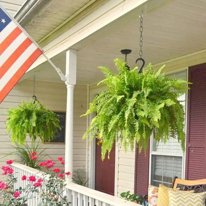 Artificial Boston fern lifestyle display