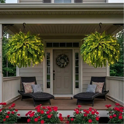 Person arranging a large Boston fern beside a doorway